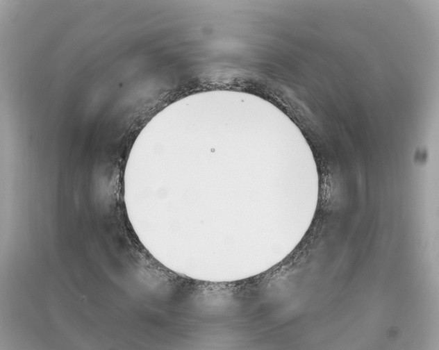 X0000091290820200708101024