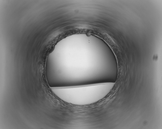 X0000091290821200708101024