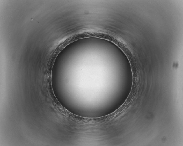 X0000091290822200708101024
