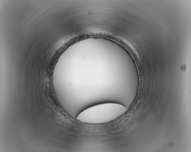 X0000091290823200708101024