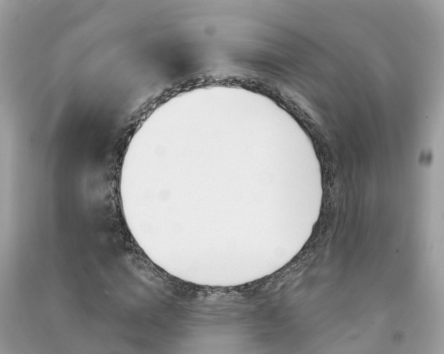 X0000091290824200708101024