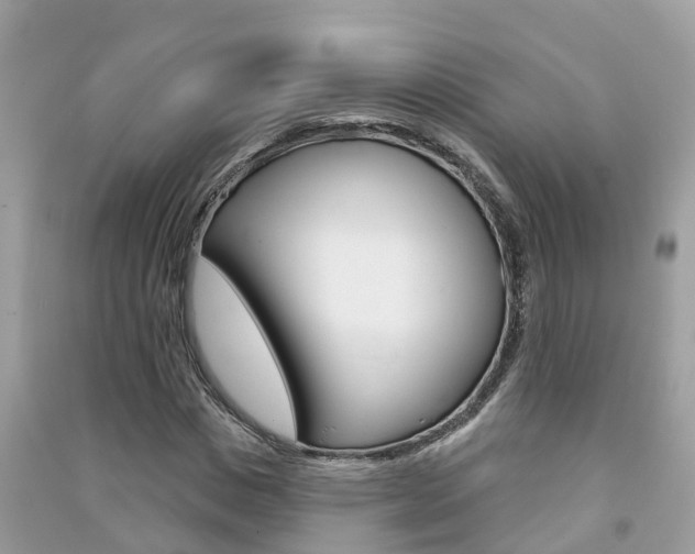 X0000091290825200708101024