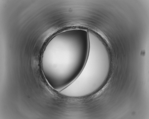 X0000091290826200708101024