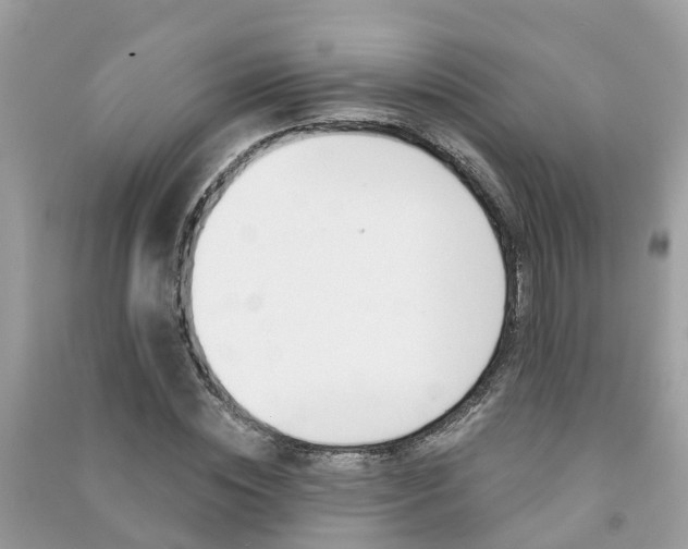 X0000091290828200708101024