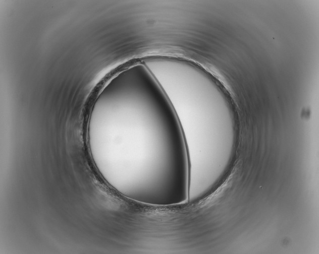 X0000091290830200708101024
