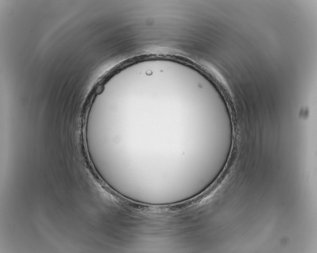 X0000091290831200708101024