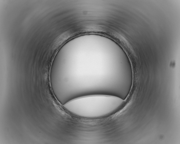 X0000091290833200708101024