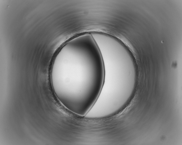 X0000091290834200708101024
