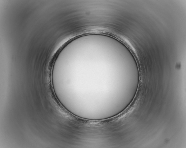 X0000091290835200708101024