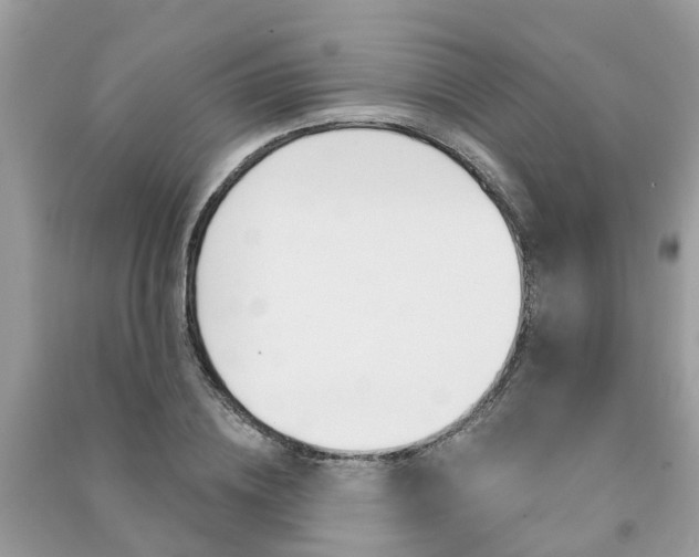 X0000091290836200708101024