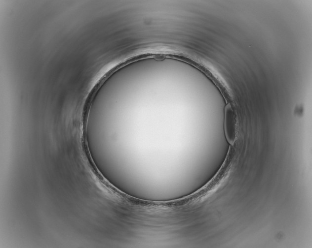 X0000091290837200708101024