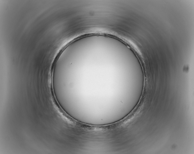 X0000091290839200708101024