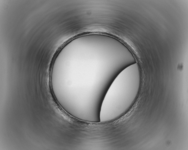 X0000091290840200708101024