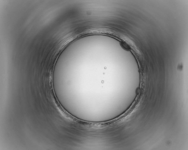X0000091290841200708101024