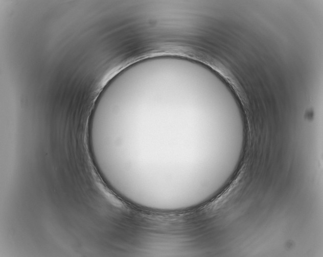 X0000091290842200708101024