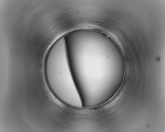 X0000091290843200708101024