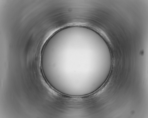 X0000091290844200708101024