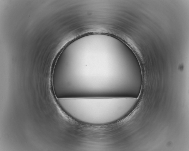 X0000091290845200708101024