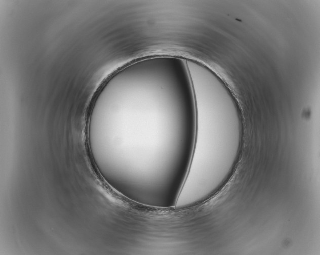 X0000091290846200708101024