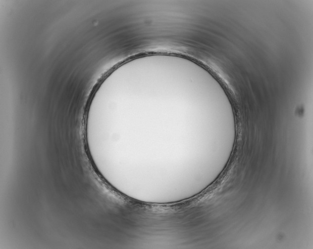 X0000091290848200708101024