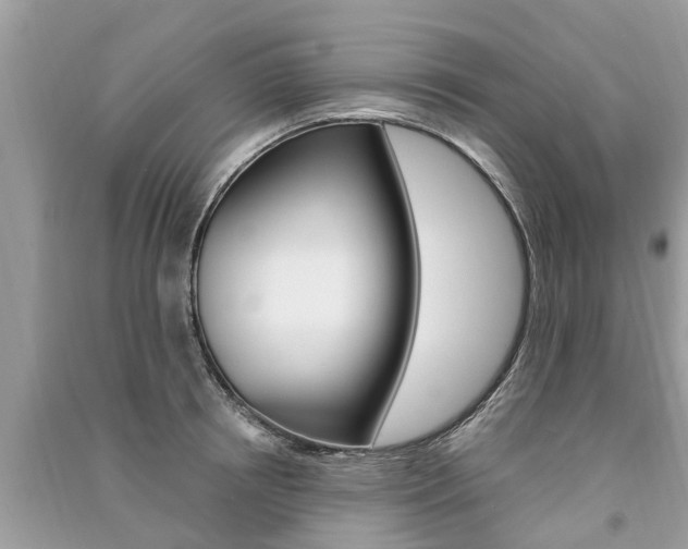 X0000091290850200708101024