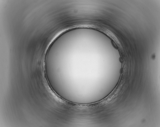 X0000091290852200708101024