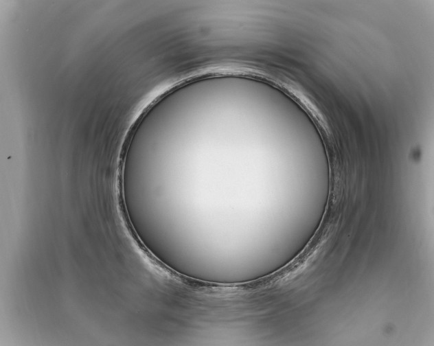 X0000091290853200708101024