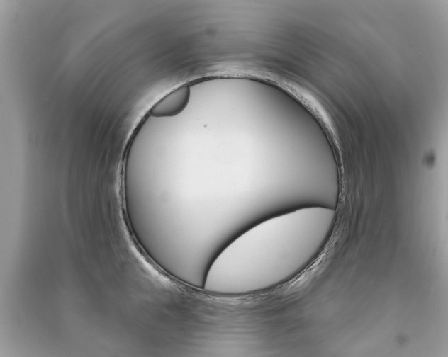 X0000091290855200708101024