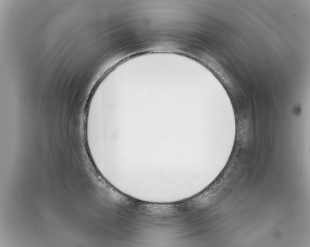 X0000091290856200708101024