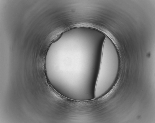 X0000091290857200708101024