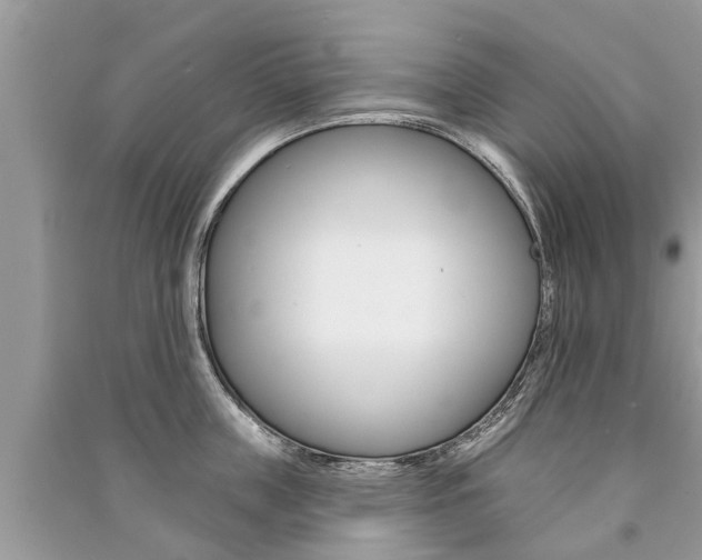 X0000091290859200708101024