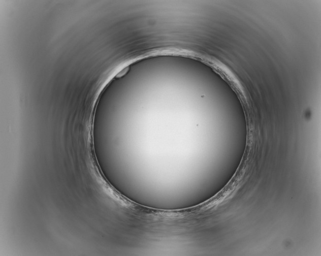 X0000091290860200708101024