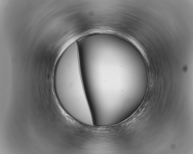 X0000091290861200708101024