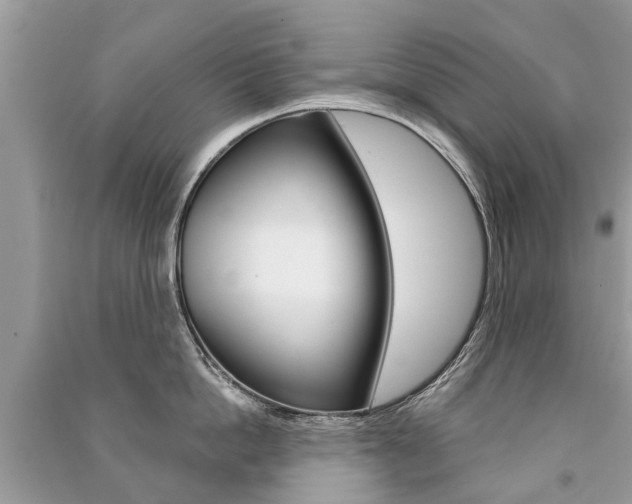 X0000091290862200708101025