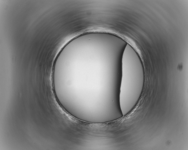 X0000091290863200708101025