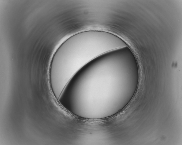 X0000091290864200708101025