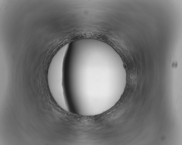X0000091290865200708101024