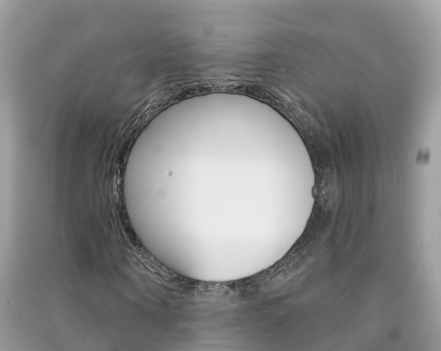 X0000091290866200708101024