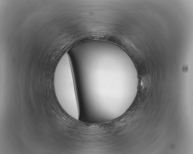 X0000091290867200708101024