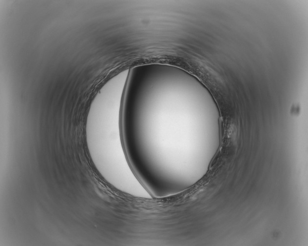 X0000091290868200708101024