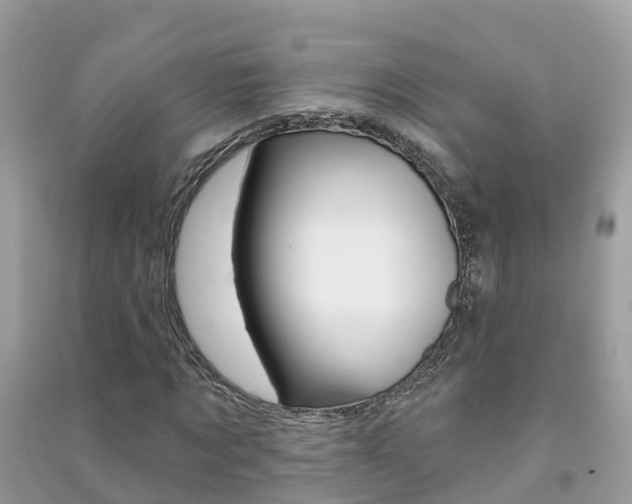 X0000091290869200708101024