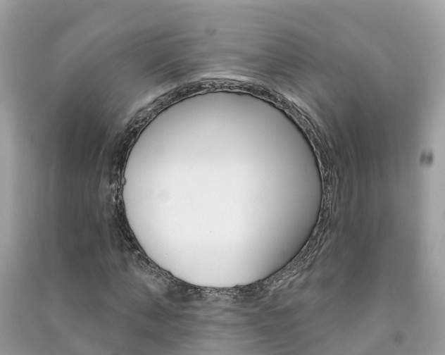 X0000091290870200708101024