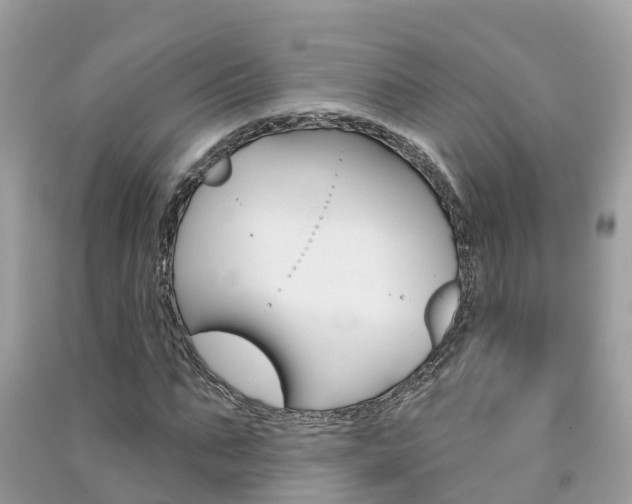 X0000091290871200708101024