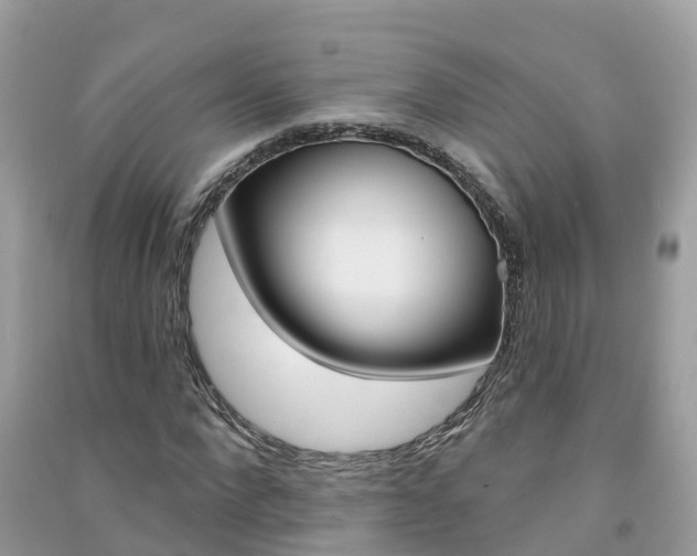 X0000091290872200708101024