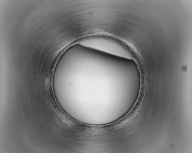 X0000091290873200708101023