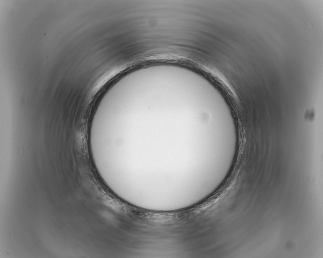 X0000091290874200708101023