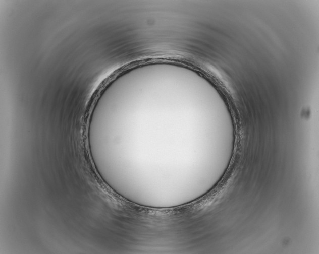 X0000091290875200708101023
