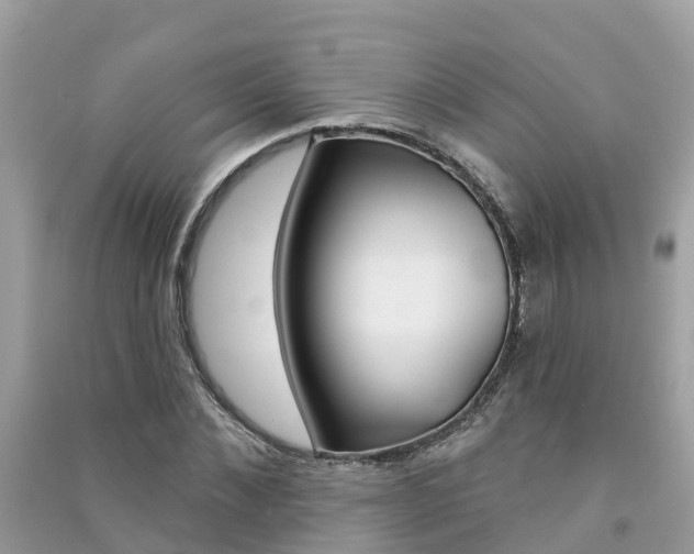 X0000091290876200708101023