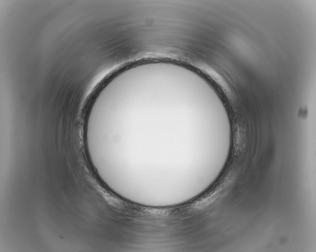 X0000091290878200708101023