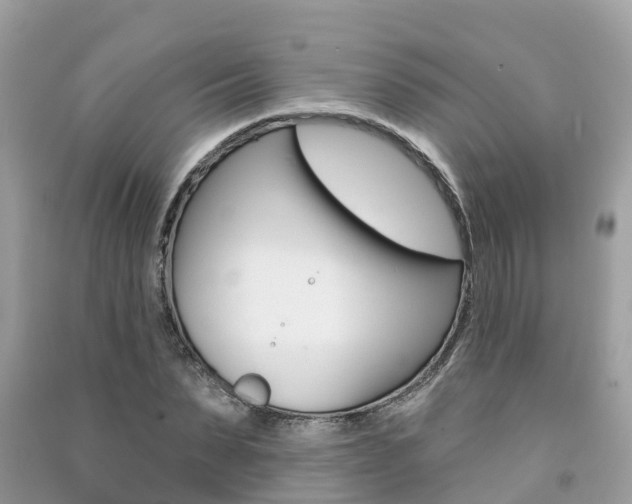X0000091290879200708101023